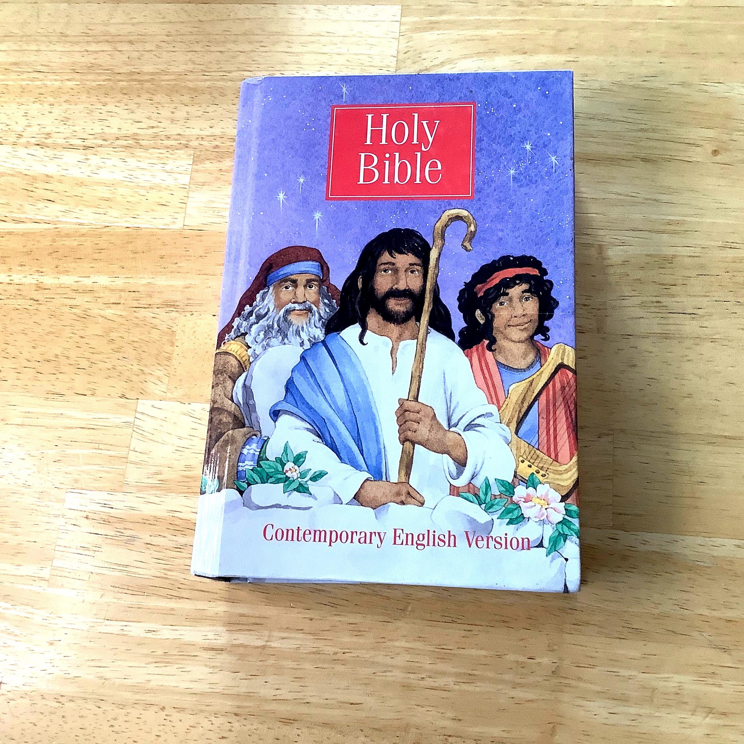 Holy Bible ~ Children's Illustrated Edition ~ Contemporary English