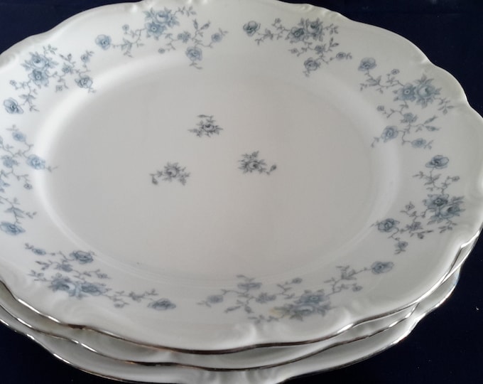 Johann Haviland Blue Garland Bavaria Germany Vintage China Etsy