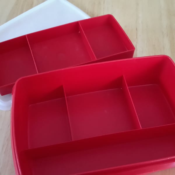 TUPPERCRAFT By Tupperware~ Craft Storage Container DIY Box Divided Multi Compartment Sealed Organizer Mini Tackle Box/Jewelry Trinket Keeper