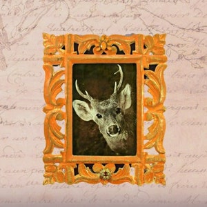 May include: A vintage-style orange wood frame with ornate details surrounds a black and white photograph of a deer with large antlers. The deer is looking directly at the camera.