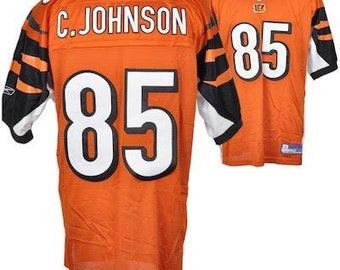 chad ochocinco jersey