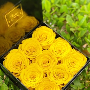 Birthday Gifts / Gifts for Mom / Roses in a box / Preserved Roses / Hand Crafted Gifts / Eternity Roses / Infinity Roses / Flower Decor