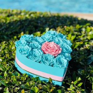 Heart shape box with preserved roses, valentines day roses, valentines day gifts for her, aqua blue preserved roses,  pink eternity roses