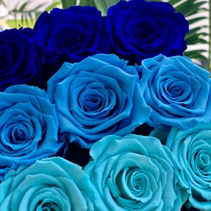 Blue Ombré Preserved Roses, Blue Eternity Roses in a Box, Roses Last For Years, Ombre Arrangements, Ombre Roses in a Box, Eternity Roses