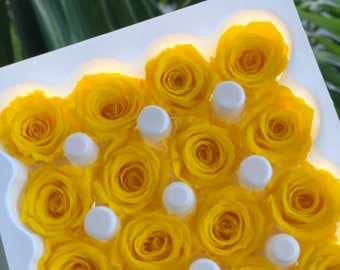 Preserved Roses Etsy