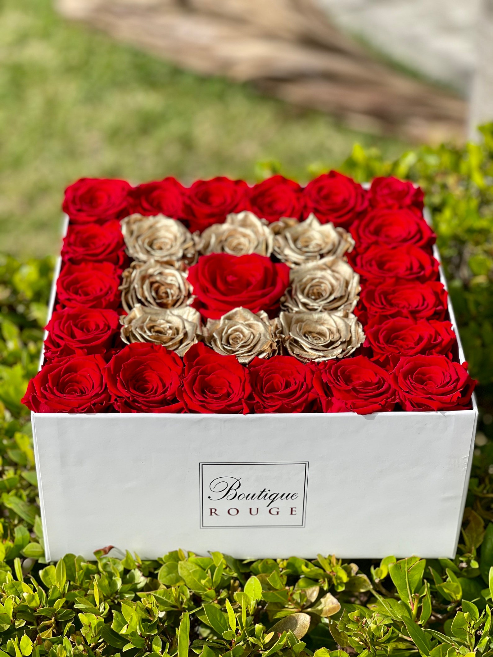 Proposal Roses for Valentines, Proposal Gifts for Valentines, Proposal ...
