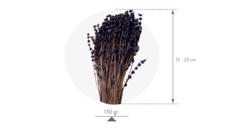 May include: A bunch of dried lavender stems, approximately 15 to 25 inches long, with purple flowers. The stems are tied together and weigh 130 grams.