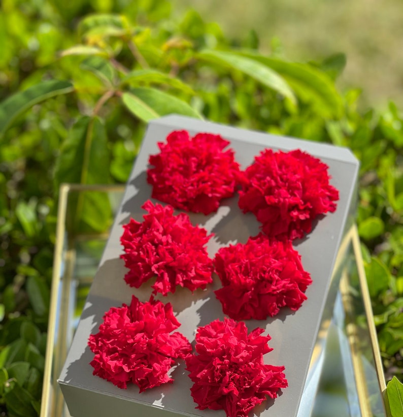 Preserved Carnations Real Carnations Last for Years Spain Etsy