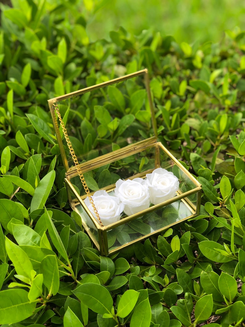 Glass Container With Roses Brass Accent Glass Box With Preserved Roses, Rectangular Glass Box ...
