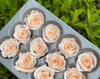 Verdissimo 12 pack small size roses, Preserved Roses for DIY, Wholesale Preserved Roses, Mothers Day Roses, Gifts For Crafty Mom, DIY roses