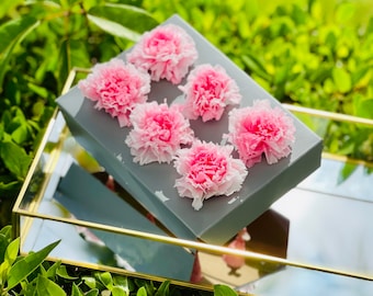 Preserved Carnations, Real Carnations Last For Years, Spain Grown Carnations, Bi Color Carnations, Preserved Flower Carnations, Bridal Pink