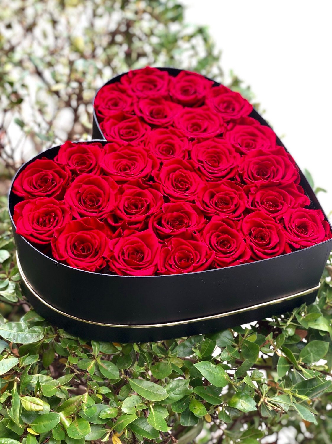 Heart Shape Box W Red Roses | Red Roses in a Box | Valentines Day Gifts ...