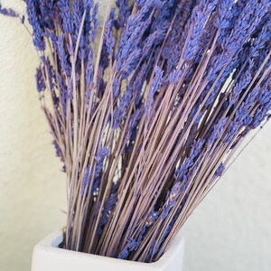 May include: A bunch of dried lavender flowers in a white ceramic vase. The lavender is a light purple color and the stems are a light brown color.