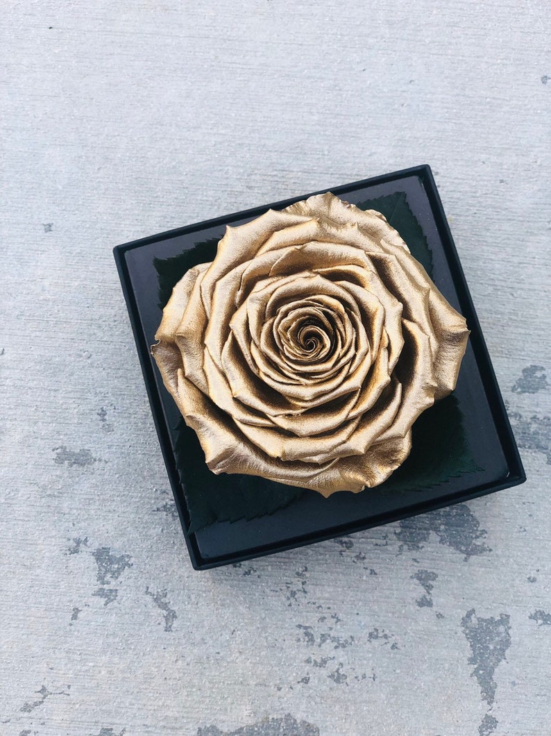 Eternity Roses Gold Gold Eternal Rose in a Acyrlic Box | Gold Forever Roses | Silver ...