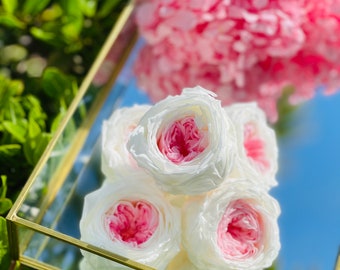 Preserved Bi-Color Garden Roses, Spain Grown Premium Quality Garden Roses, Garden Roses last for years, Preserved Pink Garden Roses