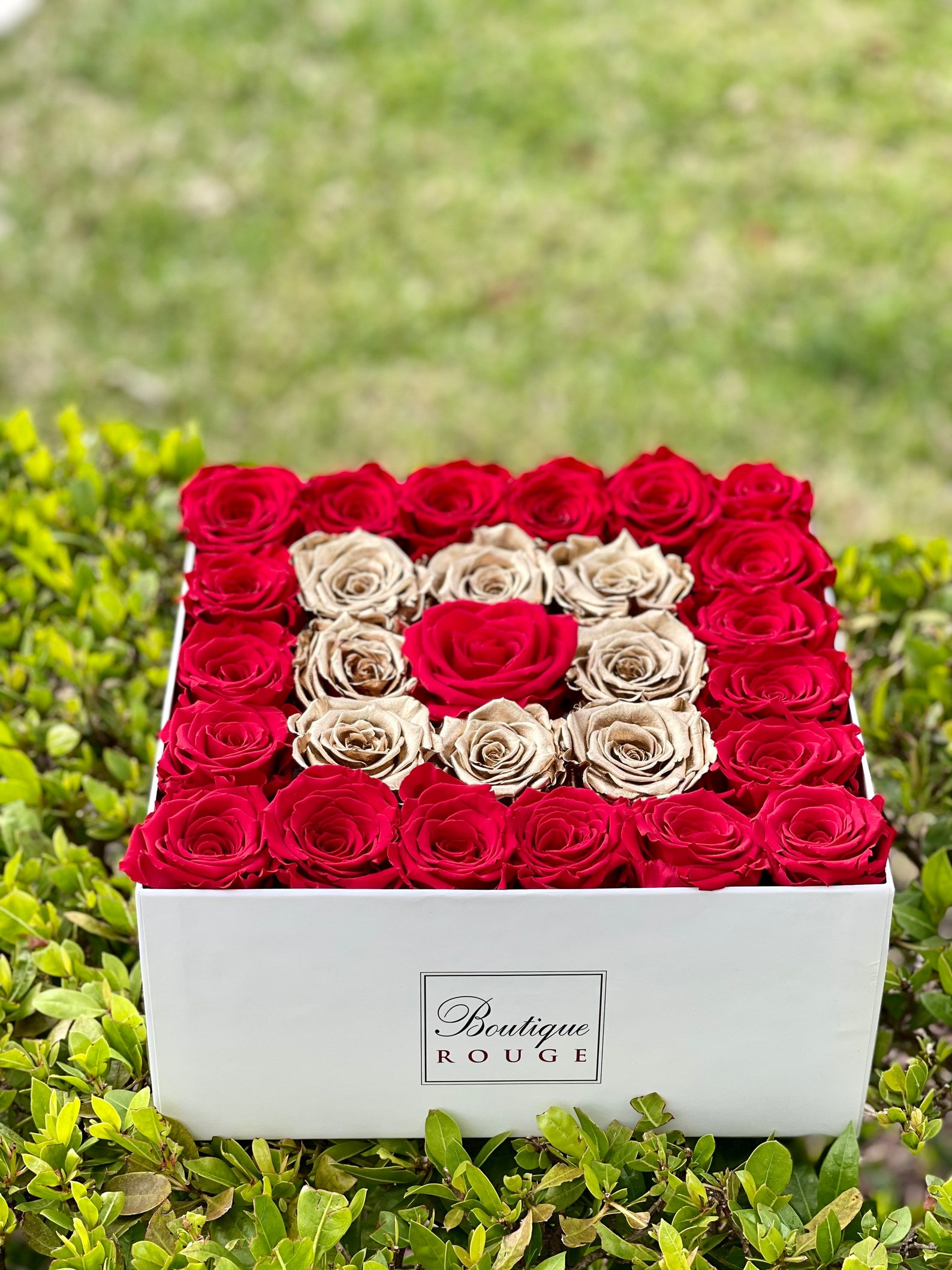 Proposal Roses for Valentines, Proposal Gifts for Valentines, Proposal ...