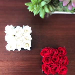 May include: Two square boxes filled with preserved roses. One box contains white roses, the other contains red roses.
