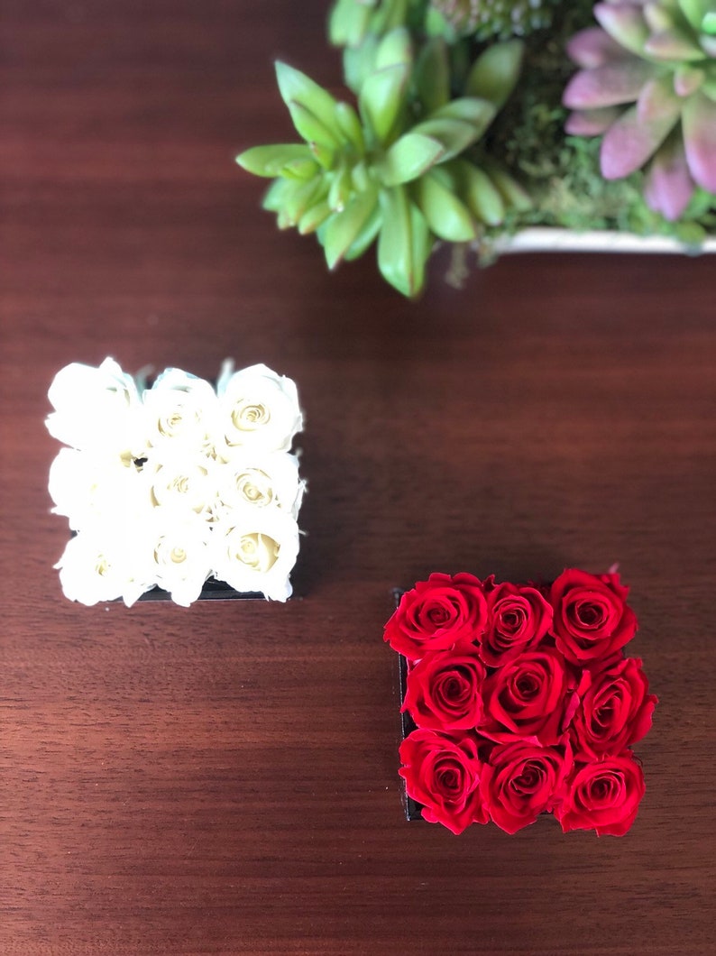 May include: Two square boxes filled with preserved roses. One box contains white roses, the other contains red roses.