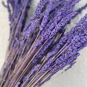 May include: A bunch of dried lavender stems with purple flowers. The stems are tied together at the bottom.