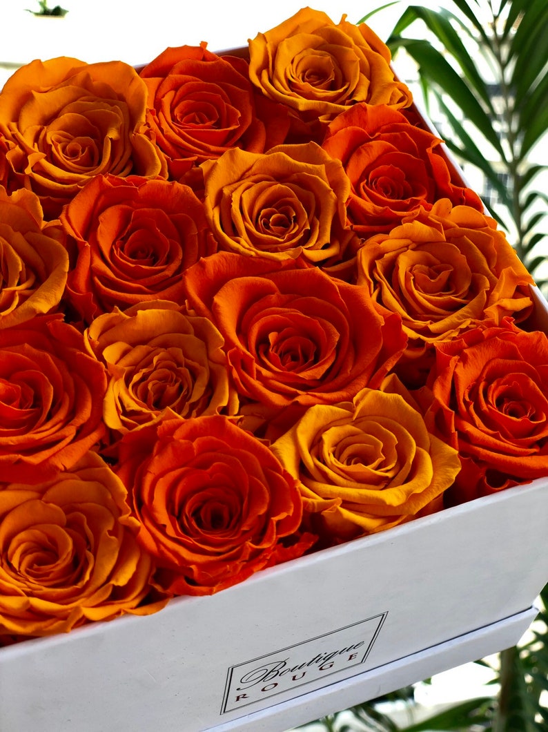 Eternal Roses Preserved Roses in a Box Roses That Last for Etsy