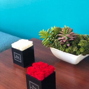 May include: Two black square boxes with white and red roses inside. The boxes have the text "Boutique Rouge" on the front. The boxes are on a wooden table with a white bowl of succulents in the background.