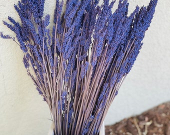 Preserved lavender from Spain, Lavender lasts for years, Preserved flower lavender, Preserved fillers, Premium grade lavender bouquet