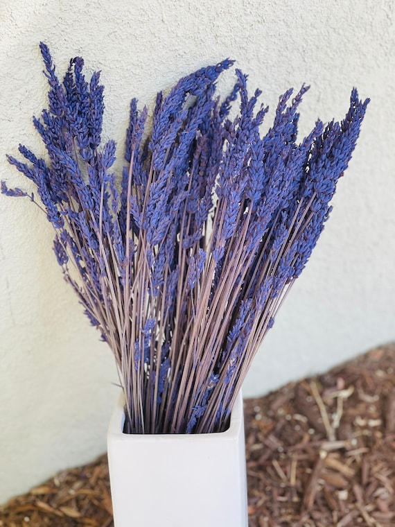Preserved lavender from Spain, Lavender lasts for years, Preserved flower lavender, Preserved fillers, Premium grade lavender bouquet