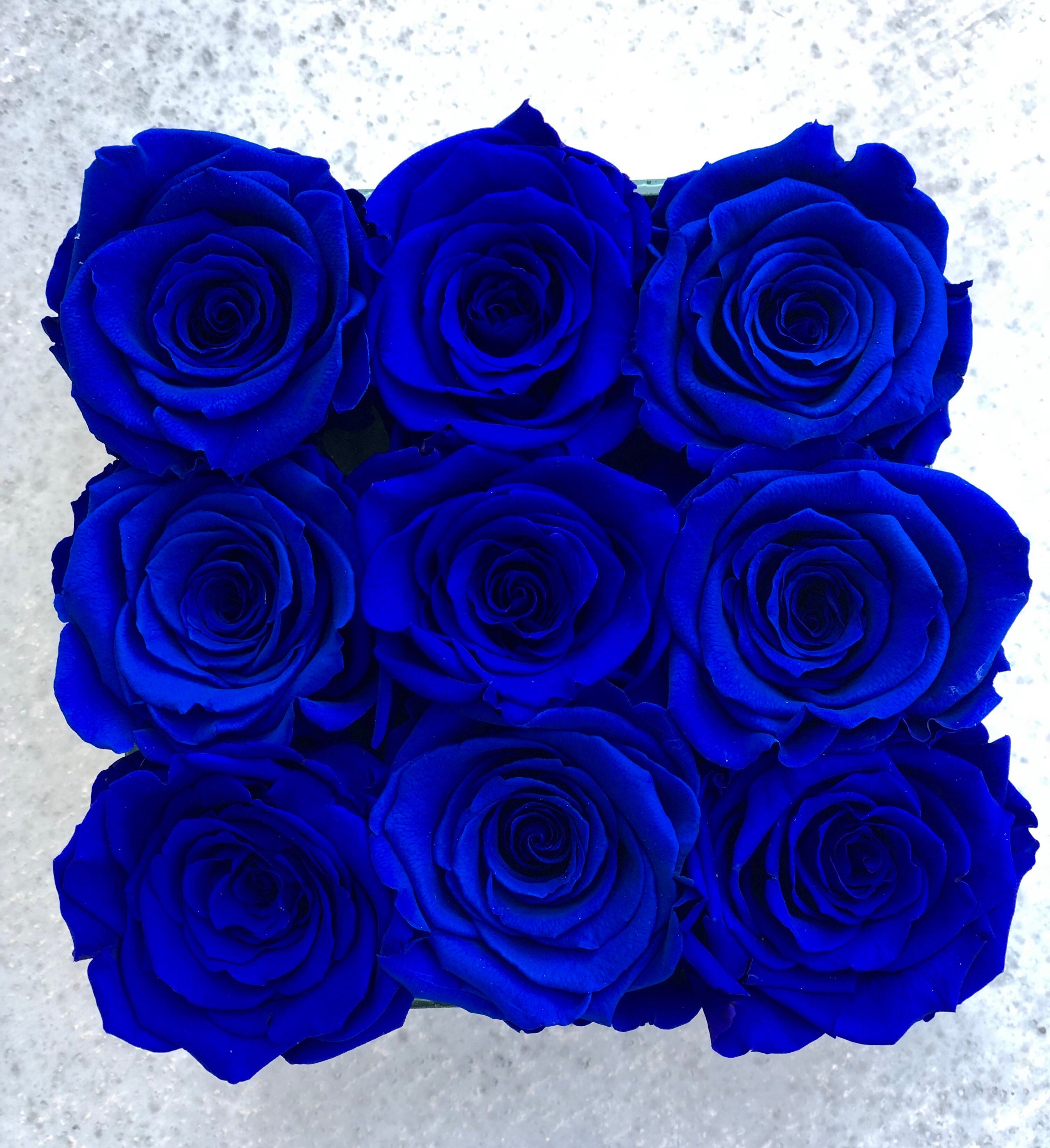 Rosas conservadas al por mayor / XL rosas infinitas / rosas Etsy