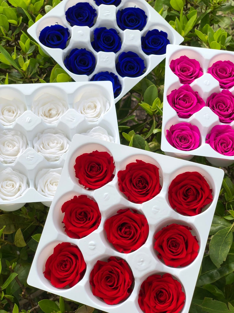 Wholesale Preserved Roses Small Size Long Lasting Roses Etsy