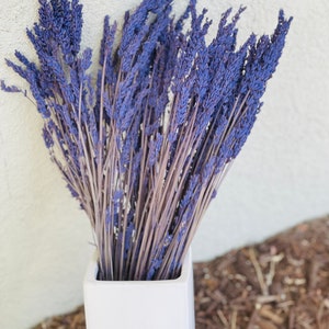 May include: A bunch of dried lavender flowers in a white ceramic vase. The vase is square and has a simple design. The lavender is a light purple color and is arranged in a loose, natural way.