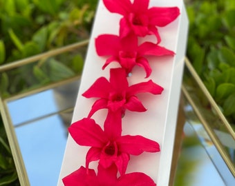 Real Orchid Last For Years, Preserved Orchid Last For Years, Spain Grown Preserved Orchids, Pink Orchids, Dendrobium Orchid, Orchid Flowers
