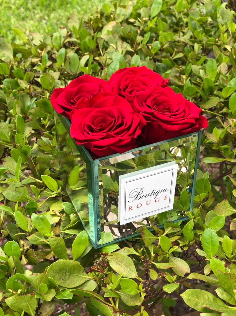 Mirror Cubical Vase With Preserved Roses Infinity Roses in a Etsy