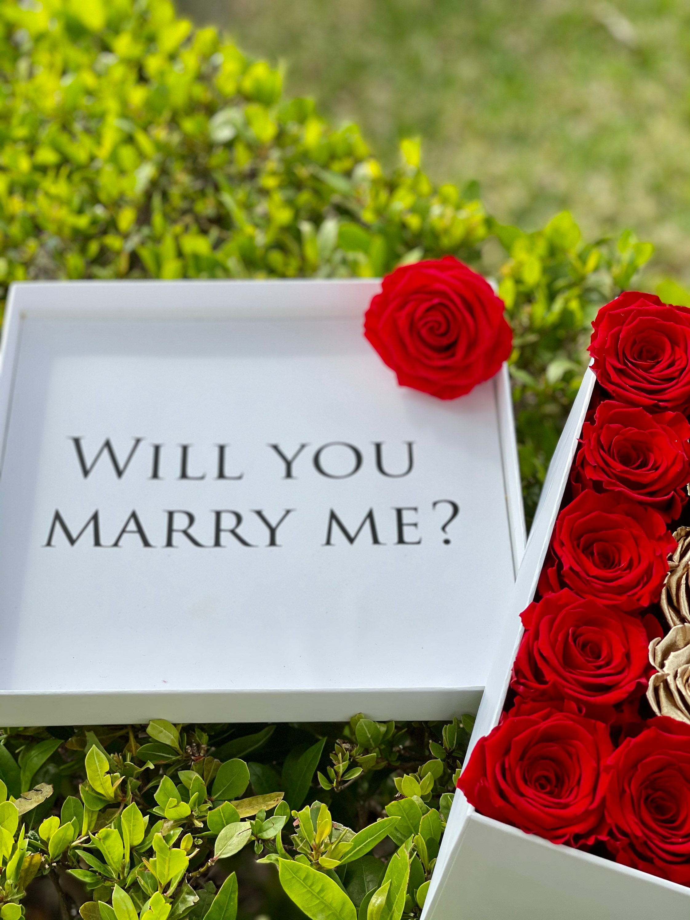 Proposal Roses for Valentines, Proposal Gifts for Valentines, Proposal ...