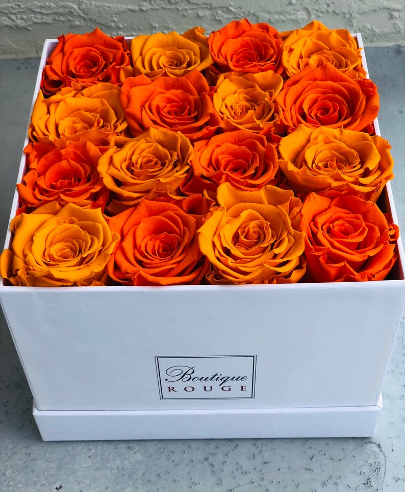 Eternal Roses Preserved Roses in a Box Roses That Last for Etsy