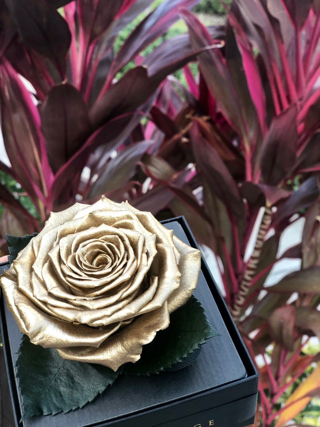 Gold Eternal Rose in a Acyrlic Box | Gold Forever Roses | Silver ...