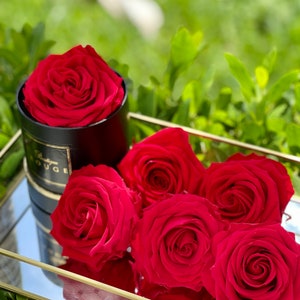 Red preserved roses, Red anniversary roses, Red romantic gifts for her, Roses last for years, Red roses for her, Eternity anniversary roses