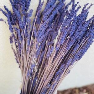 May include: A bunch of dried lavender stems in a white vase. The lavender is a light purple color and the stems are a light brown color.