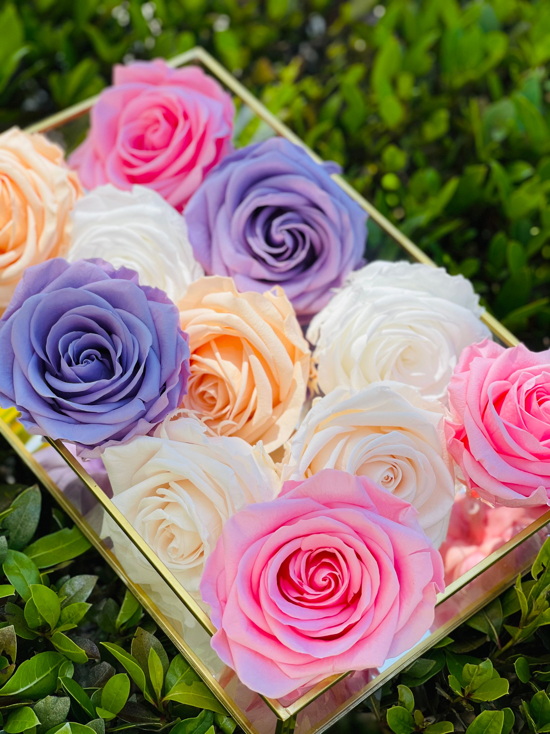 Lasting Real Roses Real Roses Last for Years, XXL Preserved Roses, XXL Eternity Roses ...