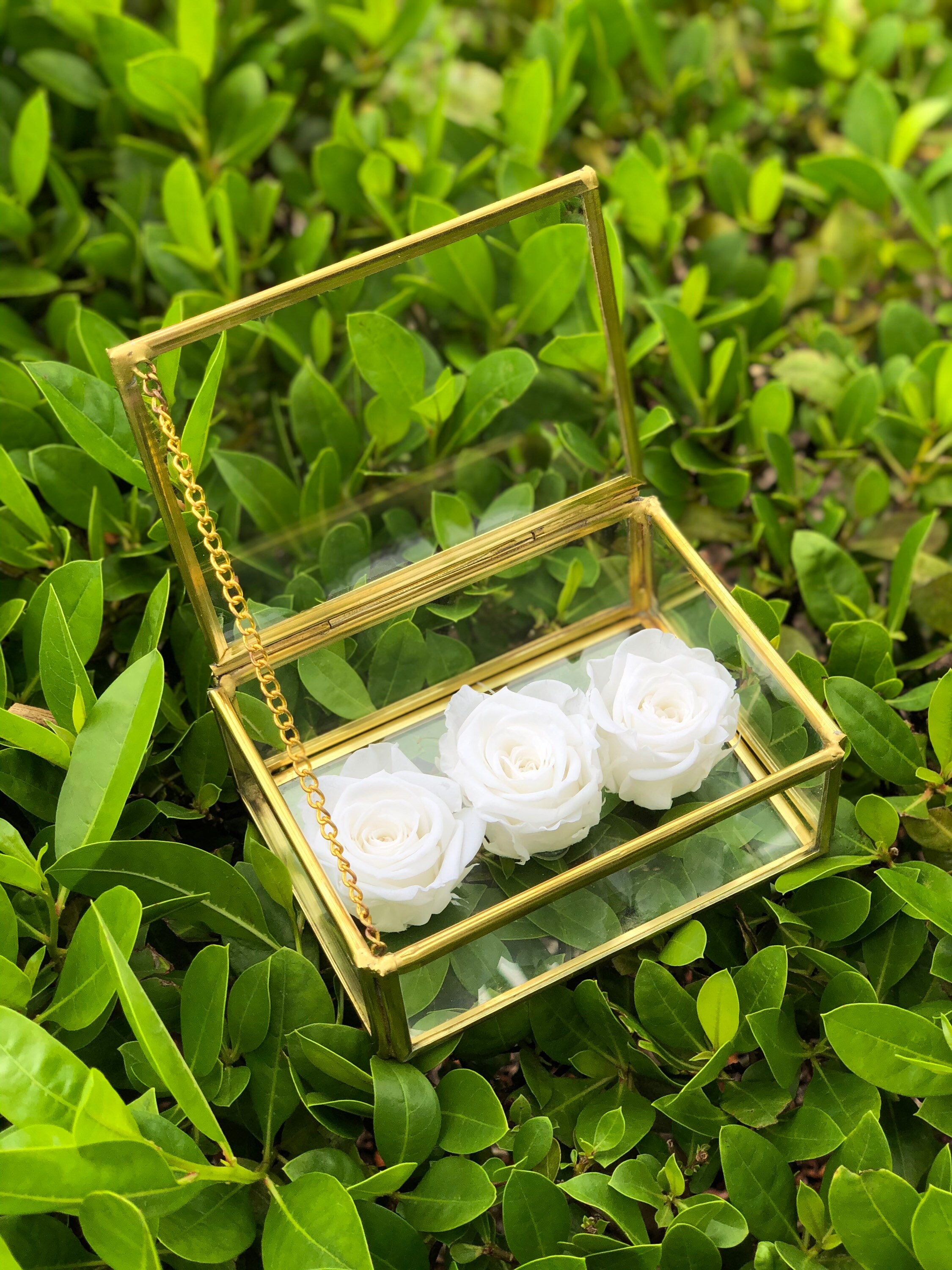 Glass Container With Roses Brass Accent Glass Box With Preserved Roses, Rectangular Glass Box ...