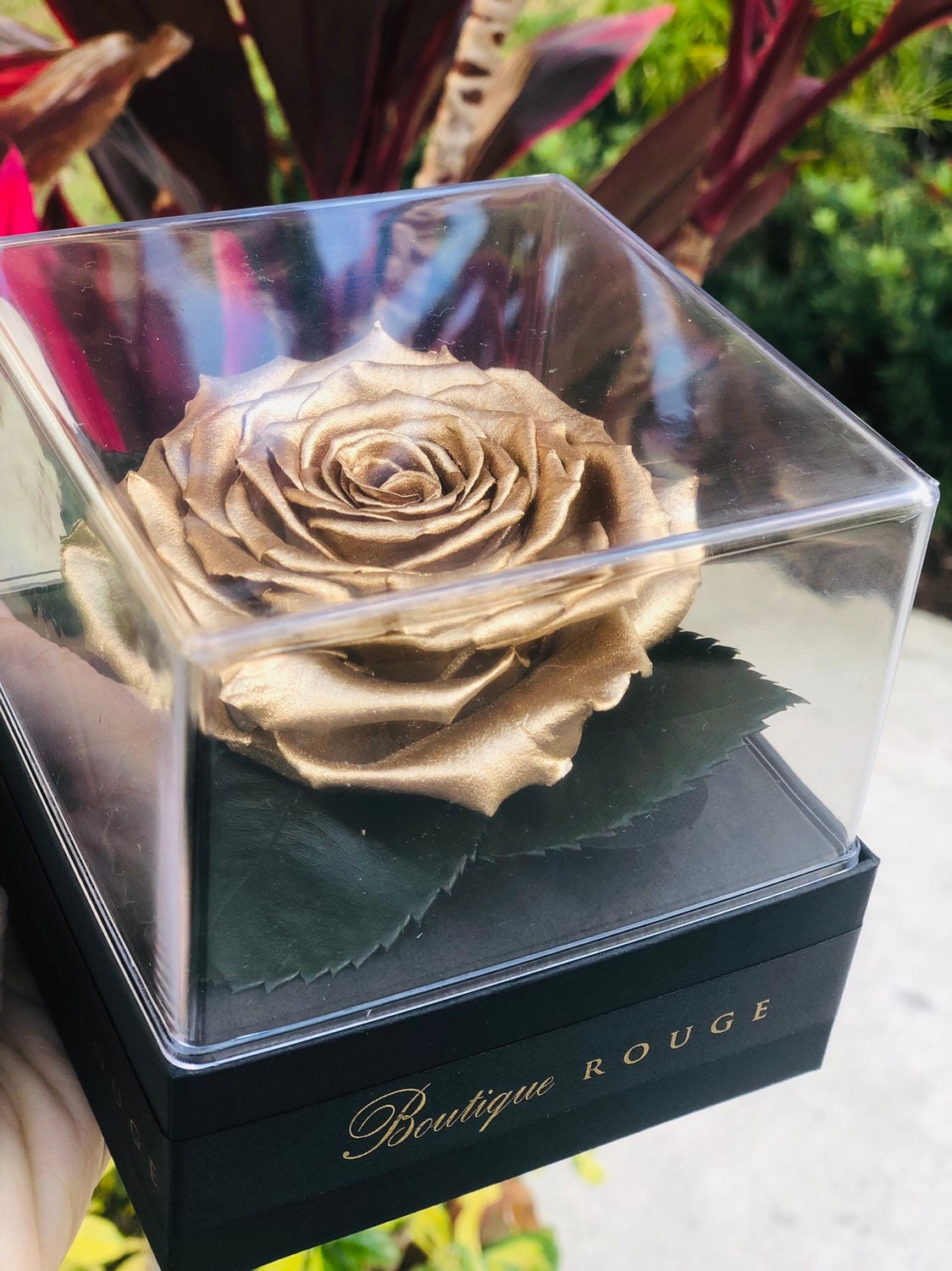 Eternity Roses Gold Gold Eternal Rose in a Acyrlic Box | Gold Forever Roses | Silver ...