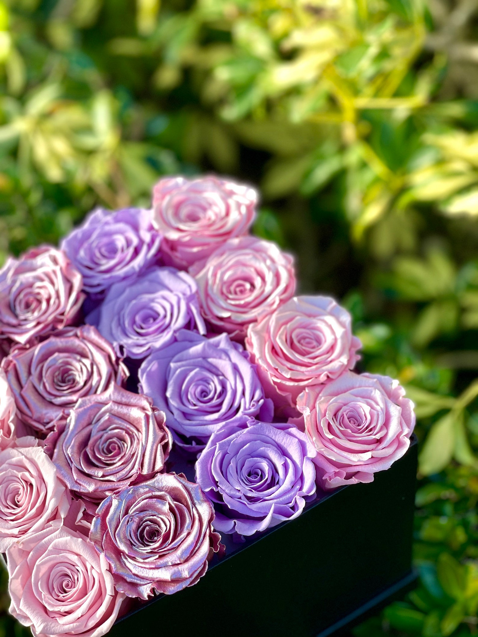 Valentines Pink Roses Valentines Roses Valentines Gifts for - Etsy