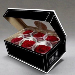 May include: A black gift box with a clear lid, containing six red roses in individual clear containers. The box has a white border and the text "FLOR ECUADOR" on the bottom.