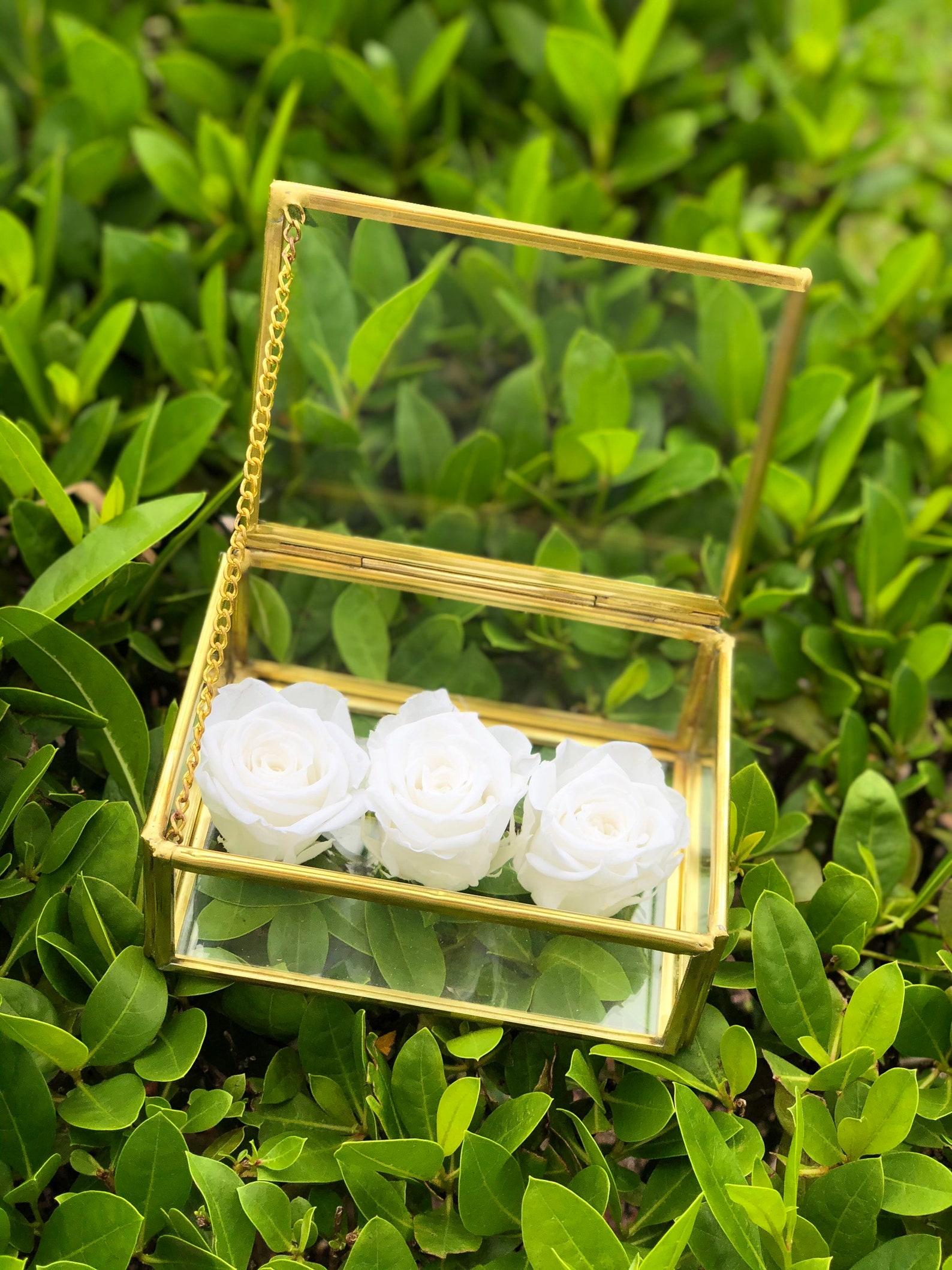 Glass Container With Roses Brass Accent Glass Box With Preserved Roses, Rectangular Glass Box ...