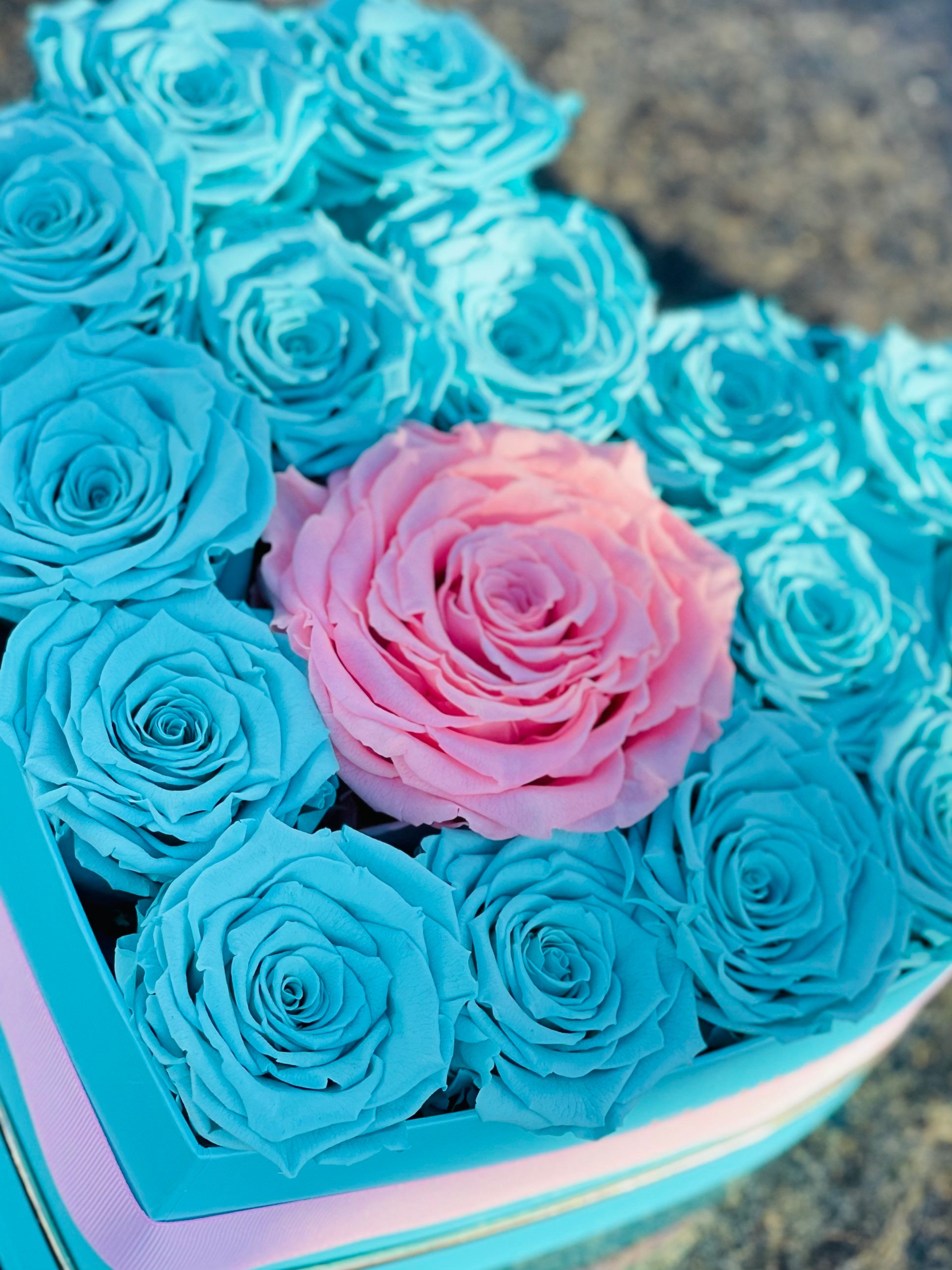 Heart Shape Box With Preserved Roses, Valentines Day Roses, Valentines ...
