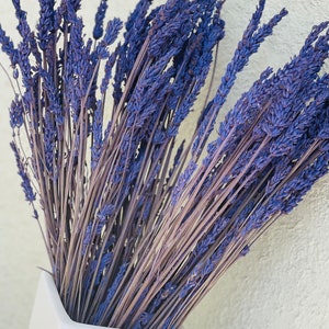 May include: A bunch of dried lavender flowers in a white vase. The lavender is a light purple color and the stems are a light brown color.