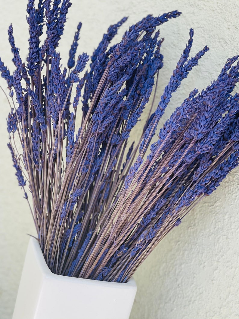 May include: A bunch of dried lavender flowers in a white vase. The lavender is a light purple color and the stems are a light brown color.