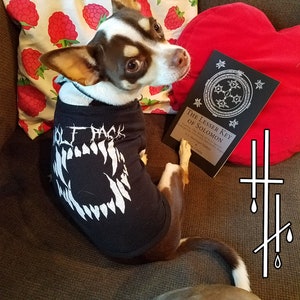 Peut inclure: Un petit chien portant un t-shirt noir "WOLF PACK" avec un motif de dents blanches, tenant un livre intitulé "THE LESSER KEY OF SOLOMON". Le chien est marron et blanc, assis sur un canapé marron avec un coussin à motifs de framboises.