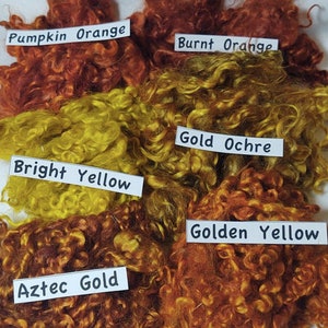 May include: Six samples of curly wool yarn in shades of orange and yellow. The yarn is labeled with the names "Pumpkin Orange", "Burnt Orange", "Gold Ochre", "Bright Yellow", "Golden Yellow", and "Aztec Gold".