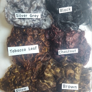 May include: Six different colors of curly wool fiber: Silver Grey, Black, Tobacco Leaf, Chestnut, Olive, and Brown.