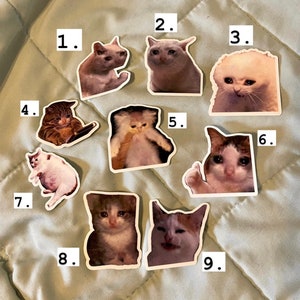 Funny Cute Cat Memes Cat Face Retro Vintage - Cat Memes - Sticker